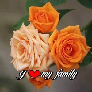 Meet your Posher, Vicky